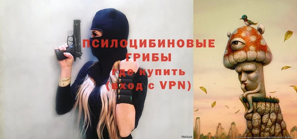 a pvp Алзамай