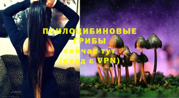 a pvp Алзамай