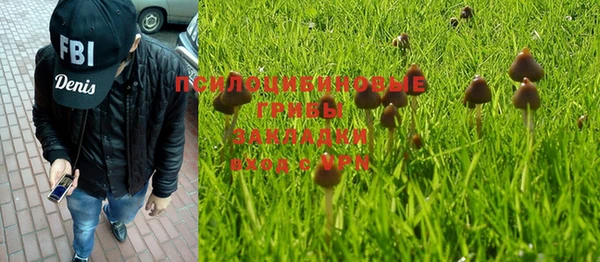 a pvp Алзамай