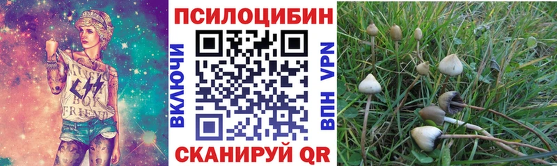 Псилоцибиновые грибы ЛСД KRAKEN ссылки Цивильск